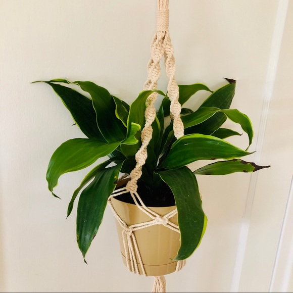 Macrame Plant Hanger - Picture 1 of 3